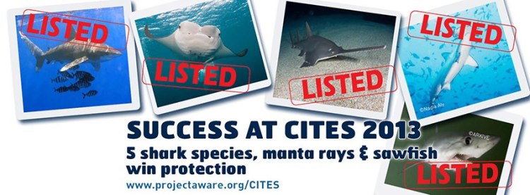 544475_522125217838578_818000843_n