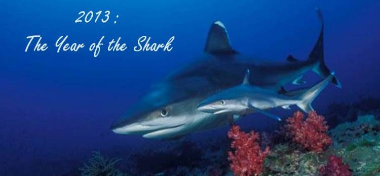 545300_197552087036349_16948231_n