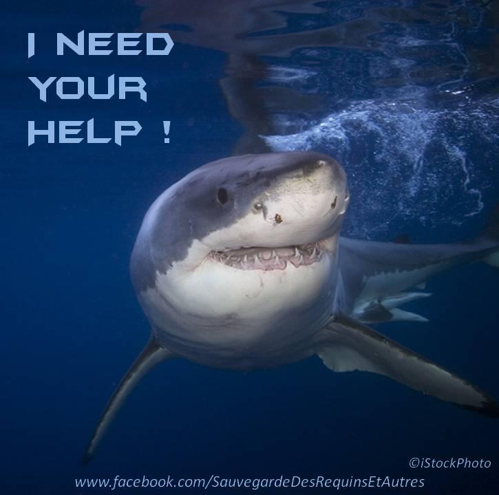 486178_187966701328221_1846394380_n