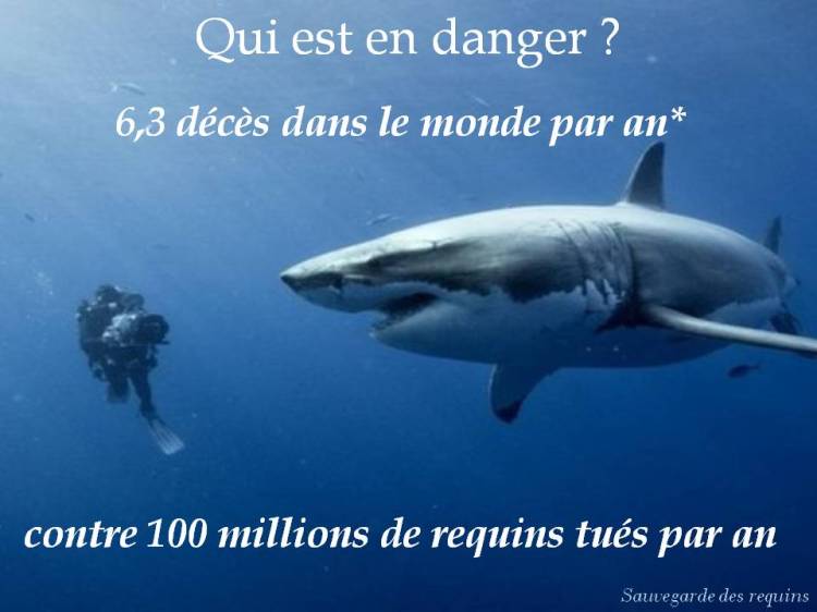 François  SARANO, image du film Océans