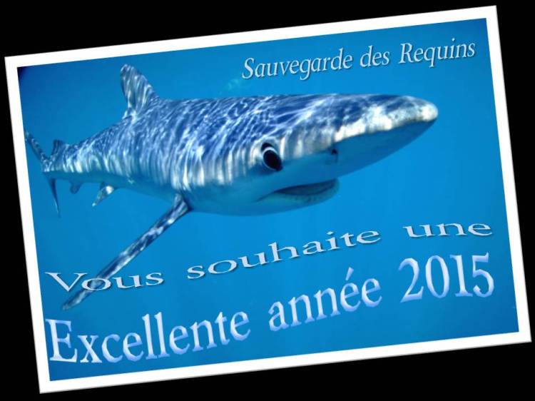 Tous nos vœux pour cette nouvelle année