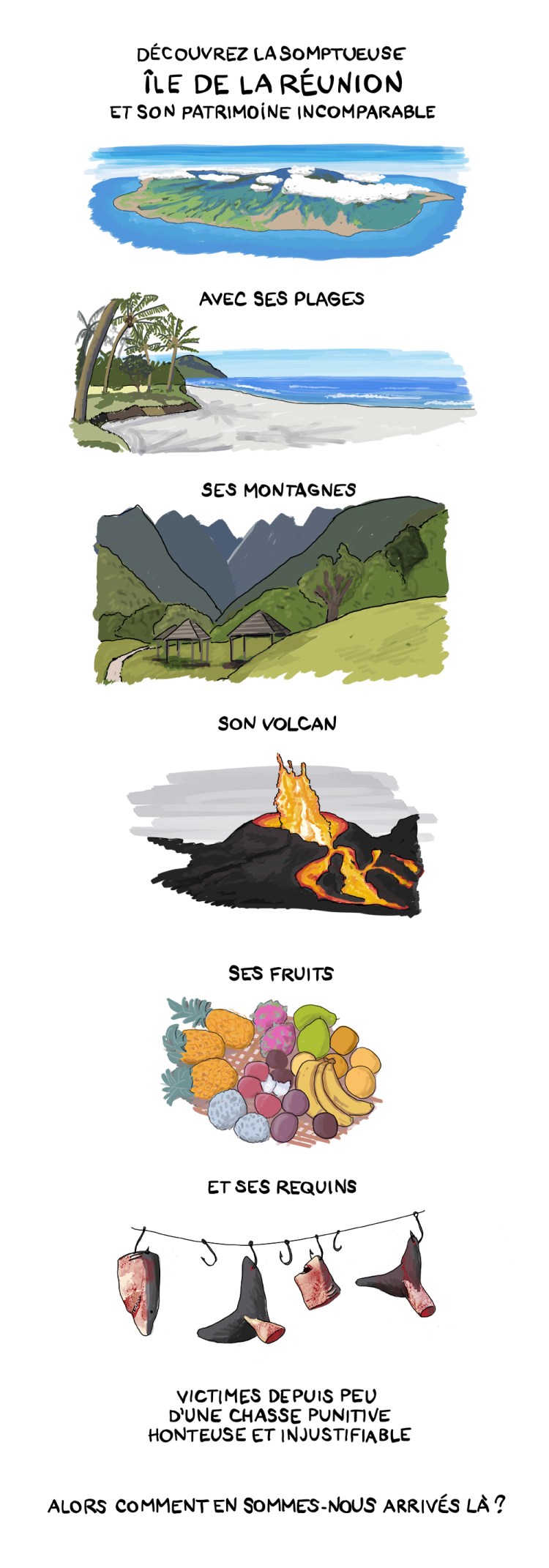 1-RequinsdelaReunion(parKrapo)