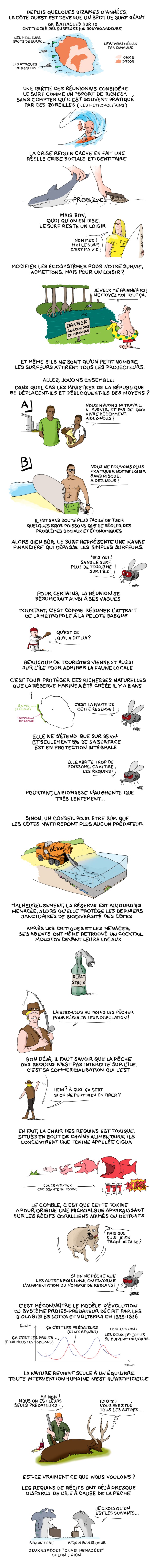 3-RequinsdelaReunion(parKrapo)