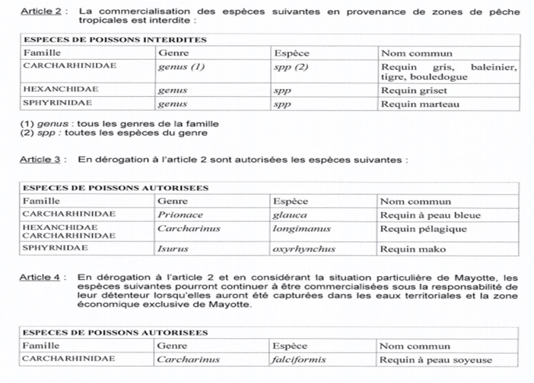 Mayotte Sauvegarde des Requins
