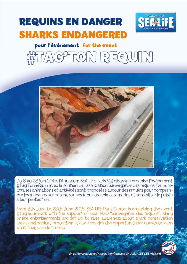@sealife Sauvegarde des requins