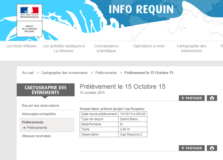 Capture écran @ Sauvegarde des Requins