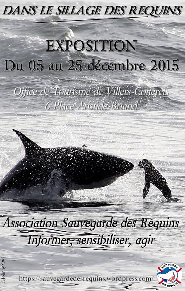 12002180_10207343583486343_7654300008176532150_n