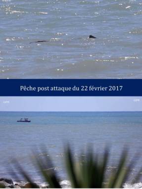 peche-post-attaque-du-22-fevrier-2017