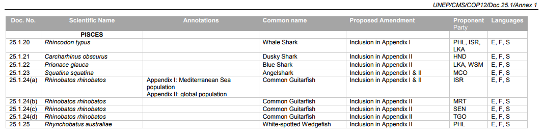 cop 12 cms Sauvegarde des Requins
