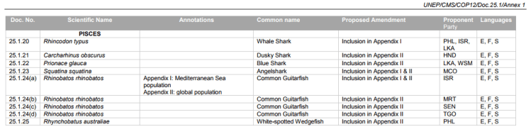 cop 12 cms Sauvegarde des Requins
