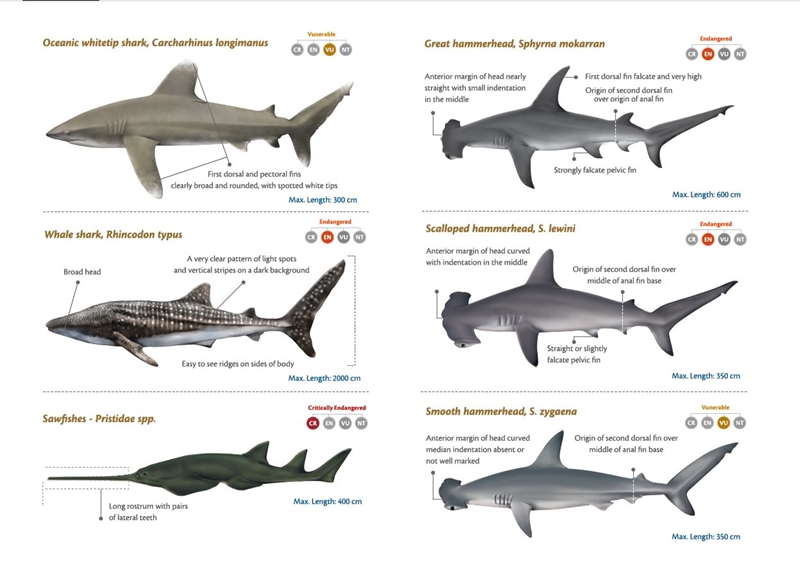 75ba455f_3201x2bc1wTransparent